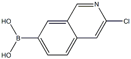 3-chloroisoquinolin-7-yl-7-boronic acid Structure