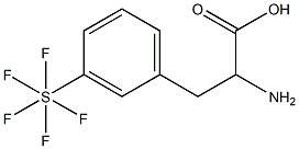 3-(五氟硫代)-DL-苯丙氨酸,97%, , 结构式