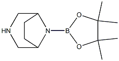 8-(4,4,5,5-tetraMethyl-1,3,2-dioxaborolan-2-yl)-3,8-diazabicyclo[3.2.1]octane Struktur