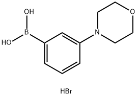 3-Morpholinophenylboronic acid hydrobromide 结构式