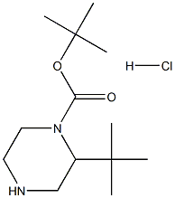 tert-butyl 2-tert-butylpiperazine-1-carboxylate hydrochloride,,结构式
