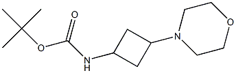 tert-butyl 3-MorpholinocyclobutylcarbaMate Struktur