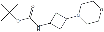  tert-butyl 3-MorpholinocyclobutylcarbaMate