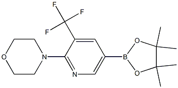 4-(5-(4,4,5,5-四甲基-1,3,2-二氧杂环戊硼烷-2-基)-3-(三氟甲基)吡啶-2-基)吗啉