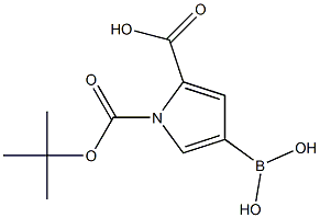 4-borono-1-(tert-butoxycarbonyl)-1H-pyrrole-2-carboxylic acid 结构式