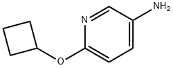 6-CYCLOBUTOXYPYRIDIN-3-AMINE|6-环丁氧基吡啶-3-胺