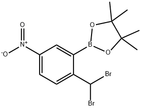 2-(2-Dibromomethyl-5-nitrophenyl)-4,4,5,5-tetramethyl-1,3,2-dioxaborolane Struktur