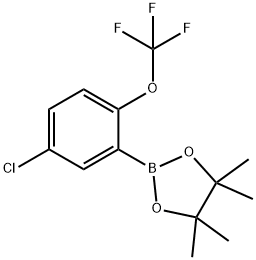 2-(5-Chloro-2-(trifluoromethoxy)phenyl)-4,4,5,5-tetramethyl-1,3,2-dioxaborolane 结构式