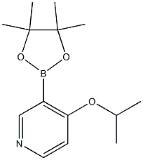 4-异丙氧基-3-吡啶硼酸片呐酯, , 结构式