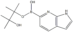 7-Azaindole-6-boronic acid pinacol ester Struktur