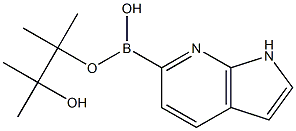 7-Azaindole-6-boronic acid pinacol ester