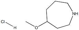 4-Methoxy-hexahydro-1H-azepine hydrochloride 化学構造式