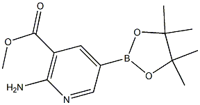 2-AMino-5-(4,4,5,5-tetraMethyl-[1,3,2]dioxaborolan-2-yl)-nicotinic acid Methyl ester 结构式