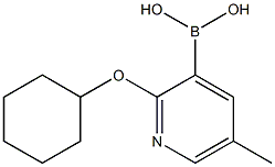 2-Cyclohexyloxy-5-methylpyridine-3-boronic acid 化学構造式