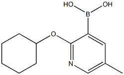 2-Cyclohexyloxy-5-methylpyridine-3-boronic acid 结构式