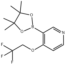 3-(4,4,5,5-tetraMethyl-1,3,2-dioxaborolan-2-yl)-4-(2,2,2-trifluoroethoxy)pyridine 结构式