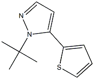 1-tert-butyl-5-(thiophen-2-yl)-1H-pyrazole|1 -叔丁基- 5 -(2-噻吩)- 1H -吡唑