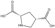 (2S,4S)-pyrrolidine-2,4-dicarboxylic acid Structure
