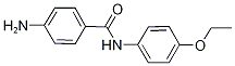 4-AMINO-N-(4-ETHOXYPHENYL)BENZAMIDE,,结构式