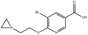 1216703-32-0 6-(2-アジリジン-1-イルエトキシ)-5-ブロモニコチン酸