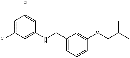 3,5-DICHLORO-N-(3-ISOBUTOXYBENZYL)ANILINE, 1040686-52-9, 结构式