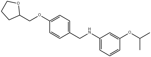 3-ISOPROPOXY-N-[4-(TETRAHYDRO-2-FURANYLMETHOXY)-BENZYL]ANILINE,1040684-88-5,结构式