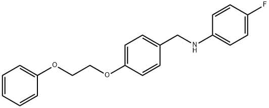 1040687-47-5 4-Fluoro-N-[4-(2-phenoxyethoxy)benzyl]aniline