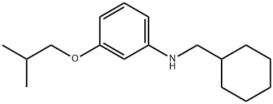 N-(Cyclohexylmethyl)-3-isobutoxyaniline Struktur