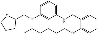 N-[2-(Hexyloxy)benzyl]-3-(tetrahydro-2-furanylmethoxy)aniline Structure