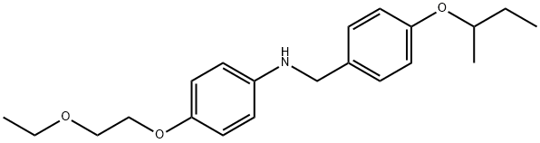 N-[4-(sec-Butoxy)benzyl]-4-(2-ethoxyethoxy)aniline|