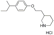 3-{2-[4-(sec-Butyl)phenoxy]ethyl}piperidinehydrochloride 化学構造式