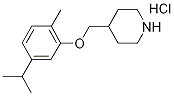 4-[(5-Isopropyl-2-methylphenoxy)methyl]piperidinehydrochloride 化学構造式