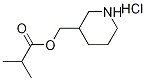 3-Piperidinylmethyl 2-methylpropanoatehydrochloride 结构式