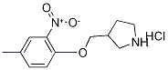 3-[(4-METHYL-2-NITROPHENOXY)METHYL]PYRROLIDINEHYDROCHLORIDE,1220032-26-7,结构式