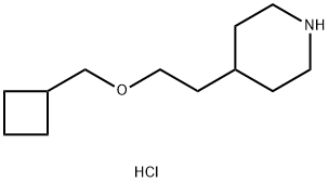 4-[2-(Cyclobutylmethoxy)ethyl]piperidinehydrochloride Structure