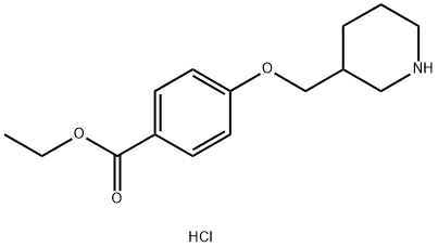 Ethyl 4-(3-piperidinylmethoxy)benzoatehydrochloride Structure