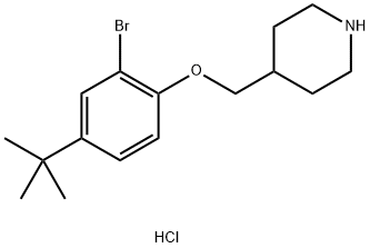 1219967-81-3 2-Bromo-4-(tert-butyl)phenyl 4-piperidinylmethylether hydrochloride