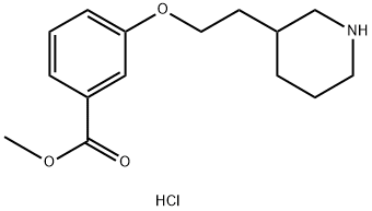 Methyl 3-[2-(3-piperidinyl)ethoxy]benzoatehydrochloride Structure