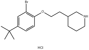 1219961-16-6 3-{2-[2-Bromo-4-(tert-butyl)phenoxy]-ethyl}piperidine hydrochloride