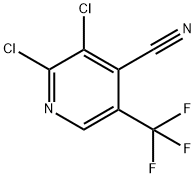 2,3-Dichloro-5-(trifluoromethyl)isonicotinonitrile 结构式