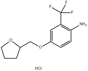 4-(TETRAHYDRO-2-FURANYLMETHOXY)-2-(TRIFLUOROMETHYL)ANILINE HYDROCHLORIDE 化学構造式