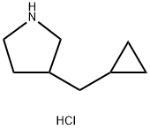 3-(cyclopropylmethyl)pyrrolidine 化学構造式