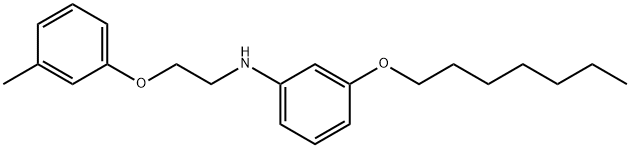 3-(Heptyloxy)-N-[2-(3-methylphenoxy)ethyl]aniline Struktur