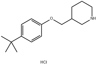 4-(tert-Butyl)phenyl 3-piperidinylmethyl etherhydrochloride 结构式