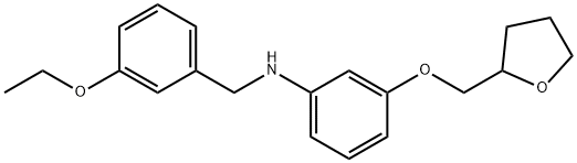 N-(3-Ethoxybenzyl)-3-(tetrahydro-2-furanylmethoxy)aniline 化学構造式