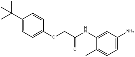 N-(5-Amino-2-methylphenyl)-2-[4-(tert-butyl)-phenoxy]acetamide Struktur