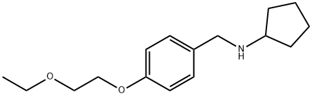 N-[4-(2-Ethoxyethoxy)benzyl]cyclopentanamine 化学構造式