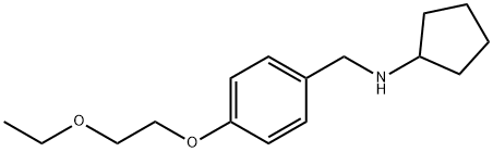 N-[4-(2-Ethoxyethoxy)benzyl]cyclopentanamine Struktur