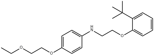 N-{2-[2-(tert-Butyl)phenoxy]ethyl}-4-(2-ethoxyethoxy)aniline Struktur