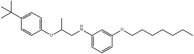 N-{2-[4-(tert-Butyl)phenoxy]propyl}-3-(heptyloxy)aniline 化学構造式